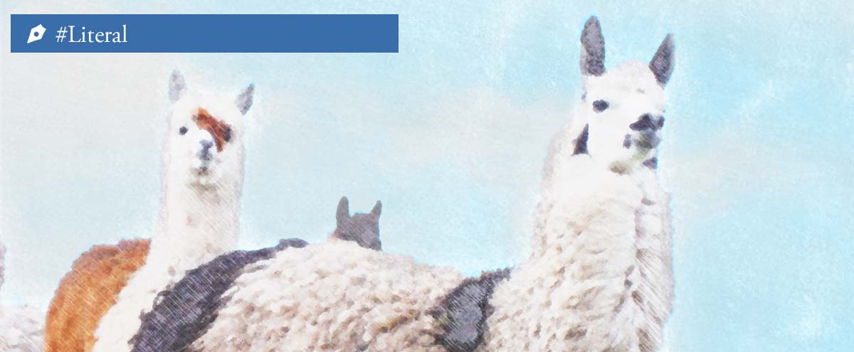 literal-incas