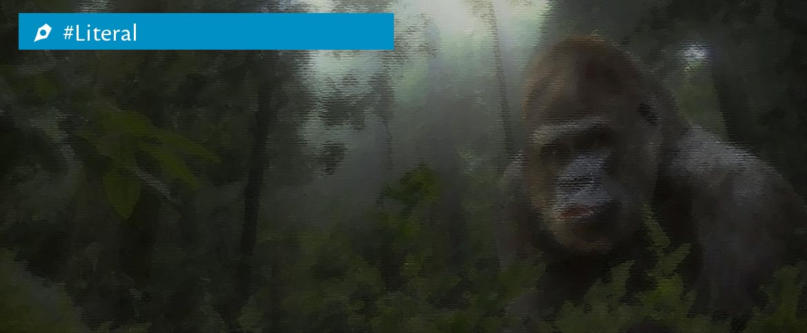 literal-gorila
